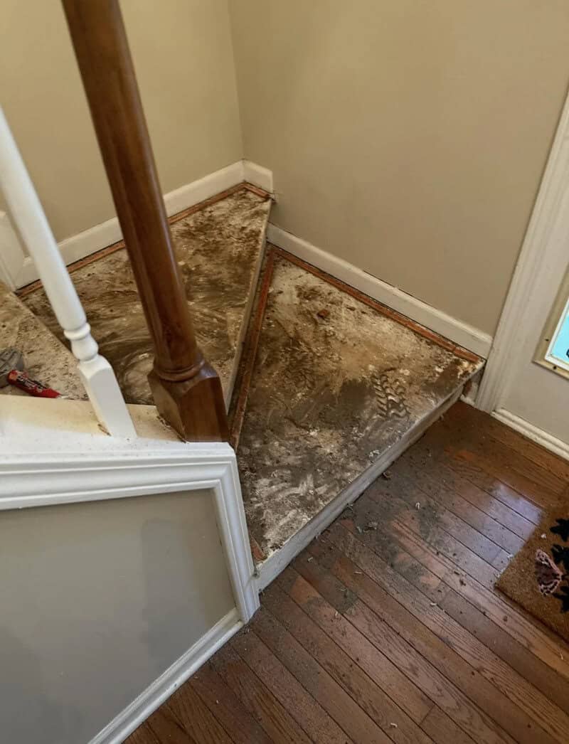 Damaged and stained carpet at the top of a staircase with a wooden handrail.