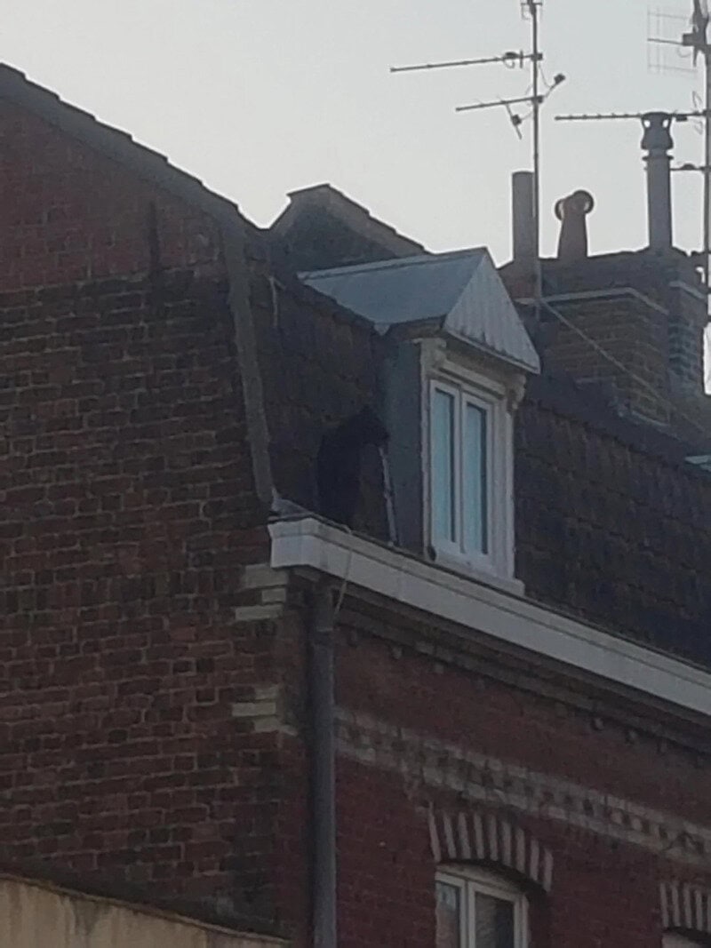 Person standing on roof edge near chimney and TV antennas.