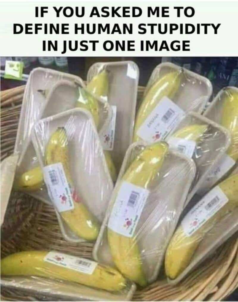 If you asked me to define human stupidity in just one image - bananas in packaging.