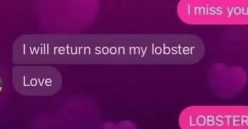 Text conversation about returning a lobster and missing someone.