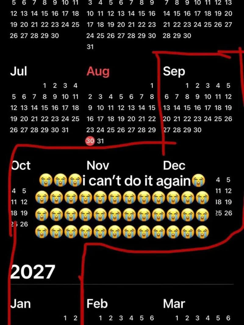 A calendar from July 2023 to March 2024 with emotional annotations and red markings.