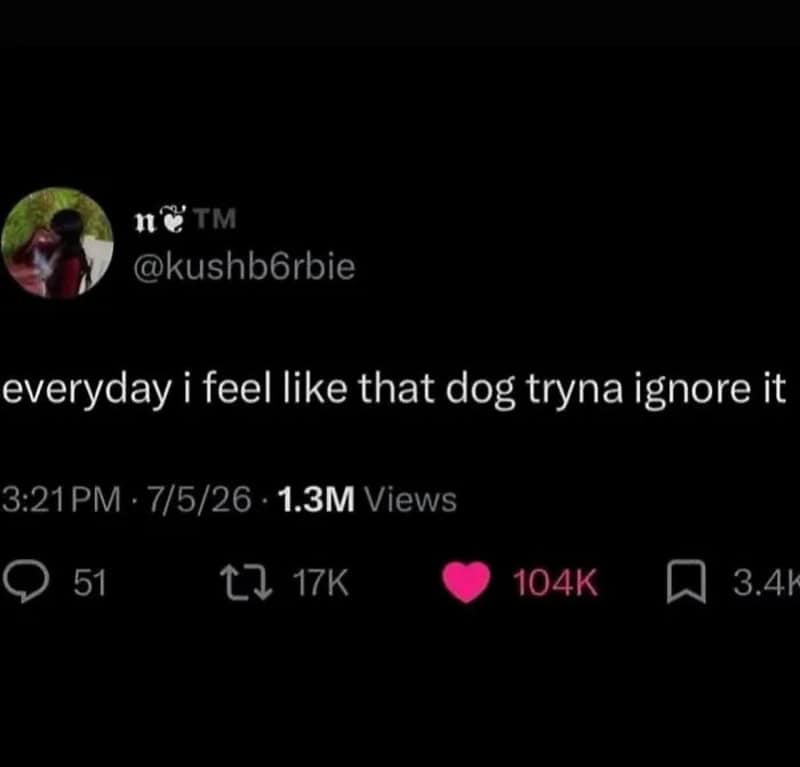 Twitter post by @kushb6rbie about feeling ignored like a dog.