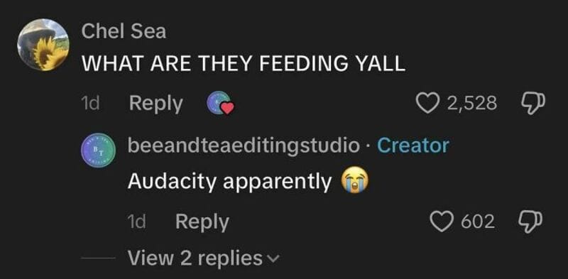 Comment section with Chell Sea asking 'WHAT ARE THEY FEEDING YALL' and beeandtea editing studio's 2-.