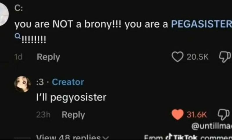 You are NOT a brony!!! you are a PEGASISTER!!!!!!!!!!.