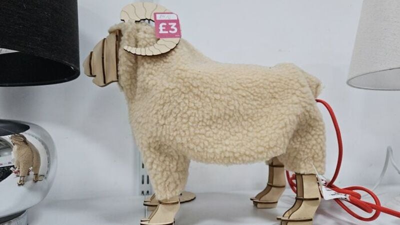 A plush sheep toy with beige wool, standing on a shelf, tagged E3 and tethered with red cord.
