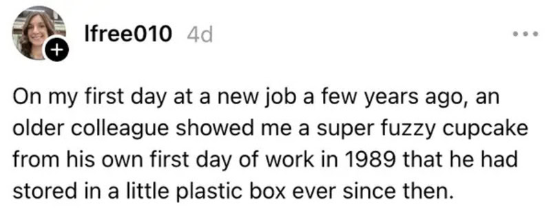 A fuzzy cupcake from 1989 stored in a plastic box, shared by an older colleague.