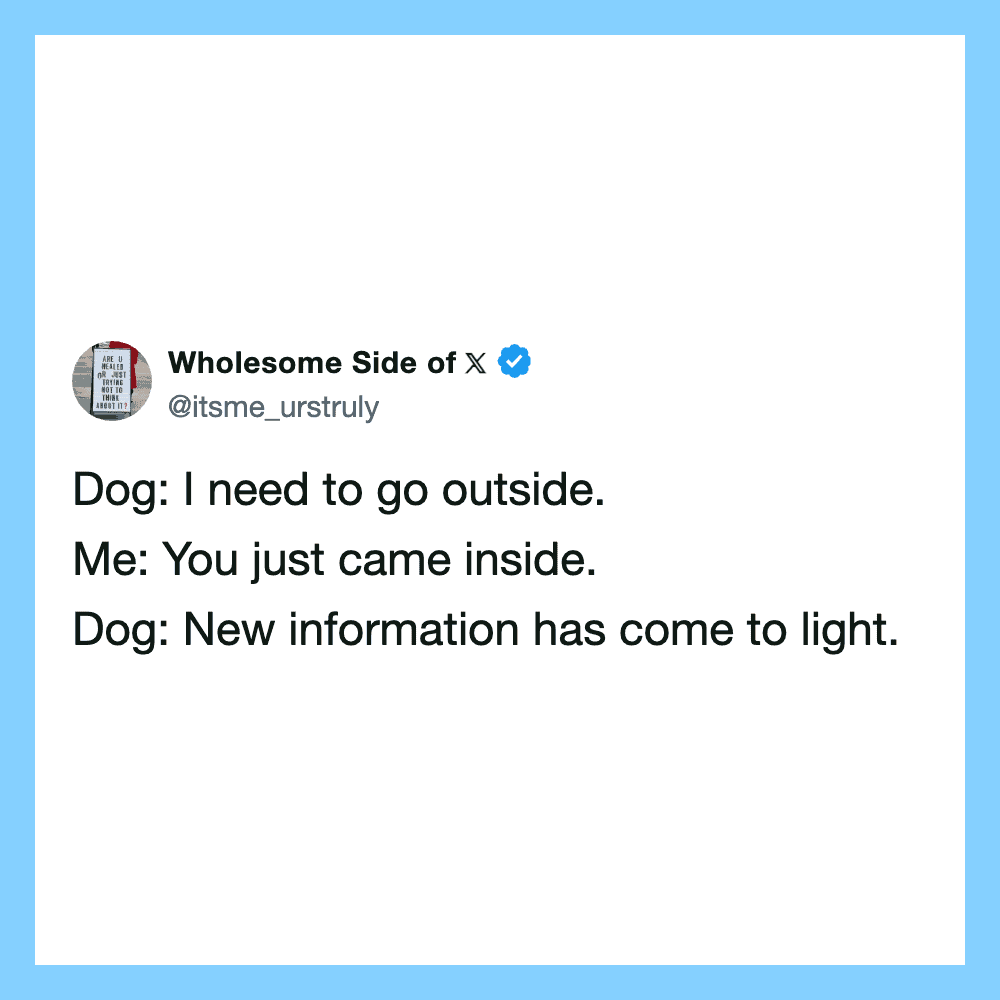 Dog and person having a humorous conversation about going outside.