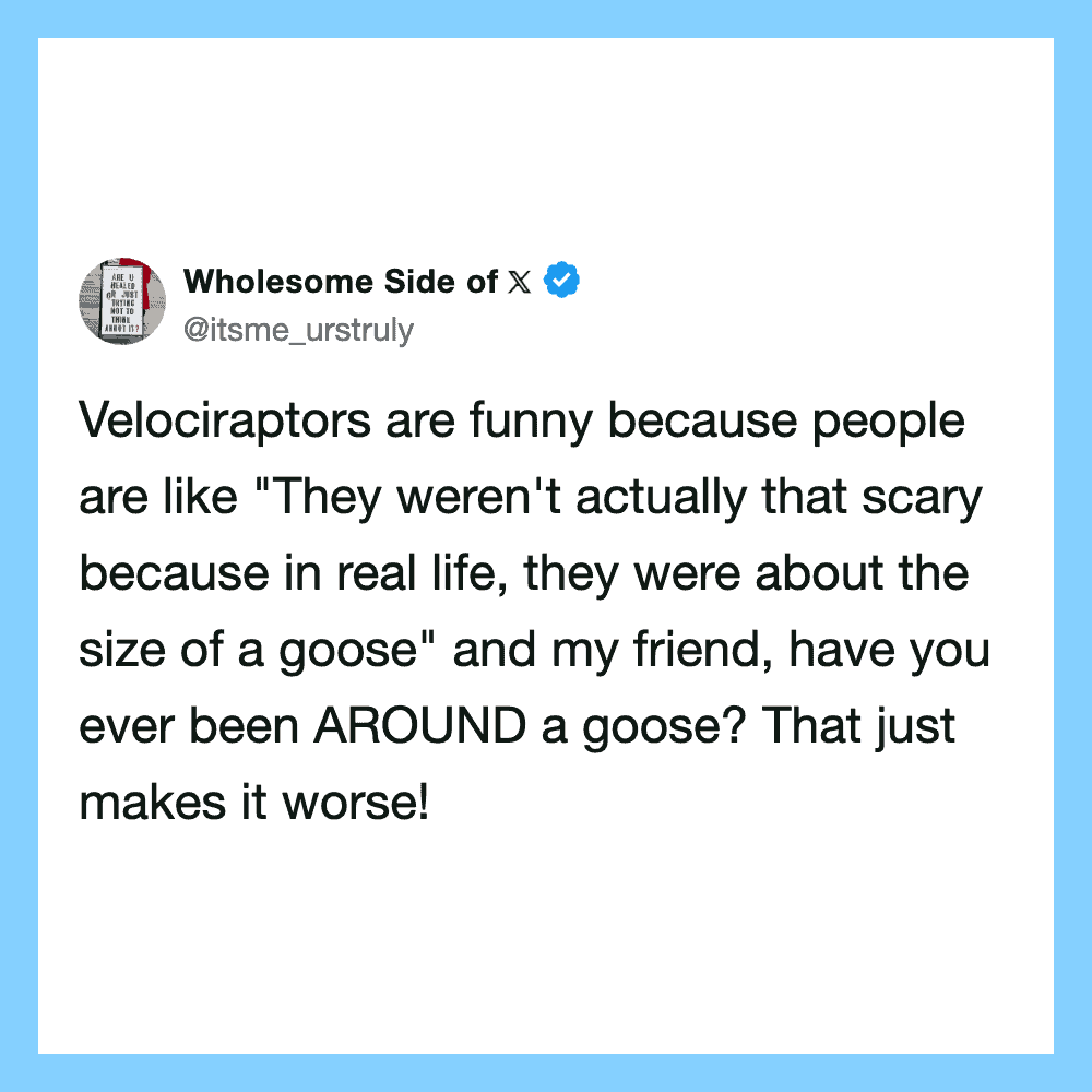 Velociraptors are funny because people think they're scary, but they're about the size of a goose.