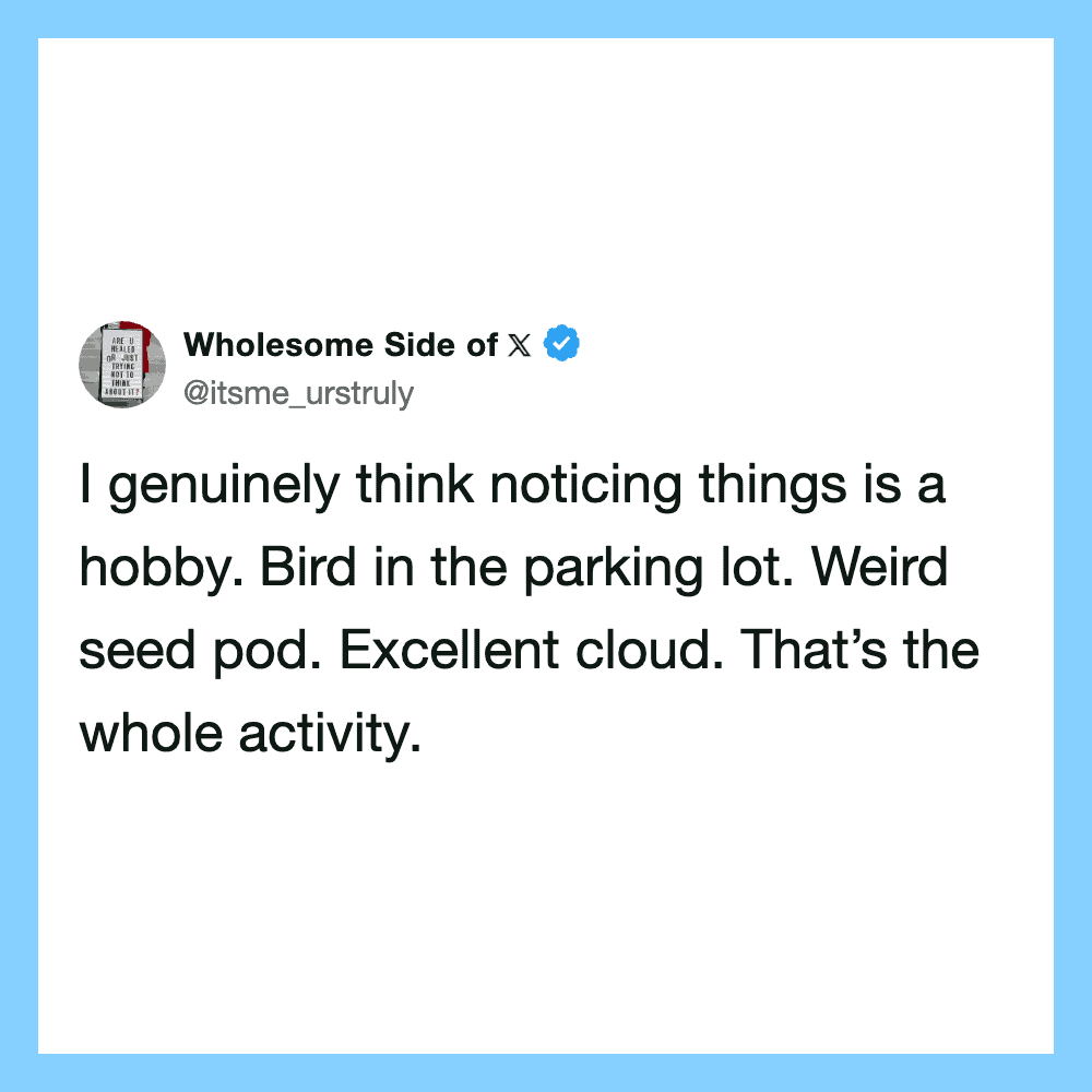 Bird in parking lot, seed pod, cloud, and activity.
