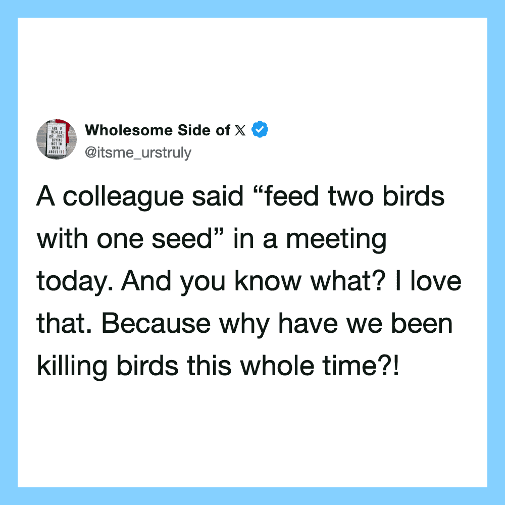 A tweet from Wholesome Side of X about feeding two birds with one seed.