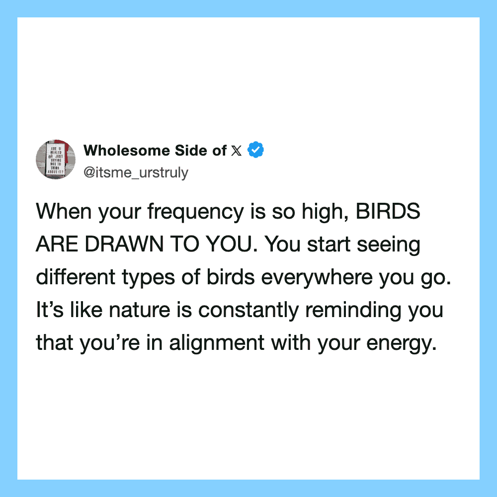When your frequency is so high, BIRDS ARE DRAWN TO YOU. You start seeing different types of birds.