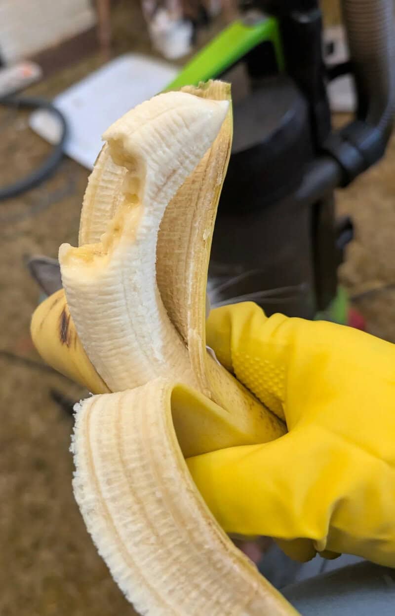 Banana peeled halfway, held by a hand in a yellow glove.