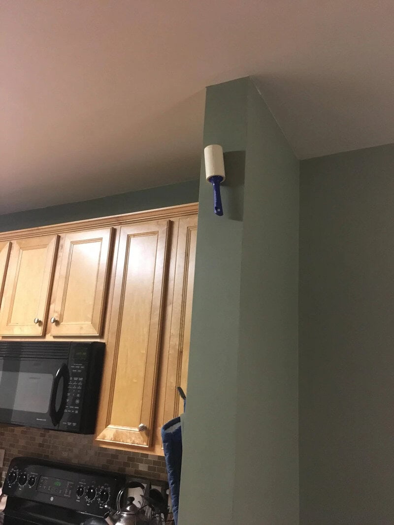 A small white and blue device attached to a green wall in a kitchen.
